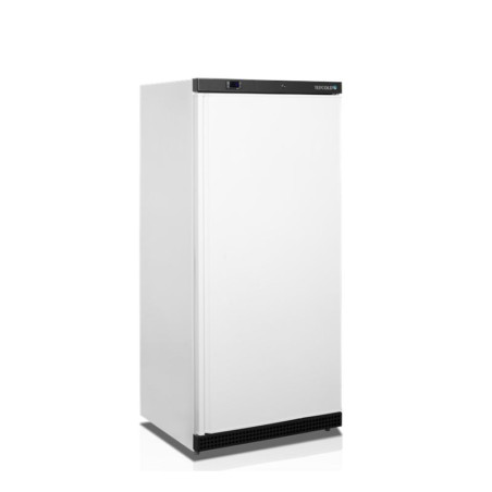 Negative Refrigerated Cabinet TEFCOLD - White, 420L | Fourniresto