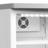 Glasierte Getränkekühlschrank mit Ventilator - 105 L TEFCOLD: Optimale Lagerung und Konservierung.