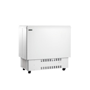 Réfrigérateur Coffre à Boissons Blanc 226 L TEFCOLD - Froid & Stockage