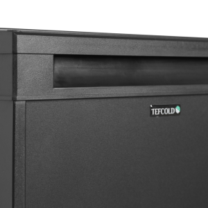 Mini Frigo Bar Noir TEFCOLD 24 L - Performant et Élégant