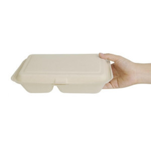 2-Compartment Compostable Natural Bagasse Boxes - Eco-friendly Solution