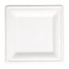 Compostable square plates made of bagasse 204mm - Pack of 50, eco-friendly and recyclable.