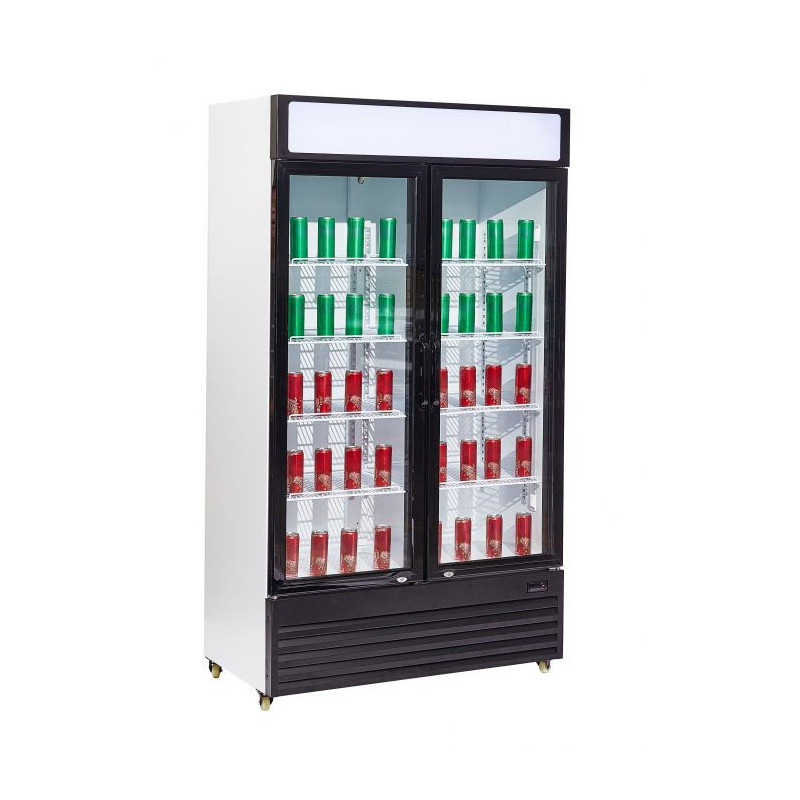 Vitrine Réfrigérée à Boissons 2 Portes Vitrées - 750 L