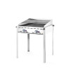 Professional Green Fire Gas Barbecue with 2 burners - Brand HENDI