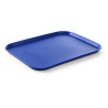 Rechteckiges Tablett Fast Food - Großes Modell 450 x 350 mm - Blau