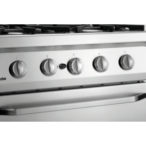 Fourneau 4 Flammen mit Gasofen GN 2/1 Serie 700
