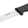 Keramik-Steakmesser 12,5 cm - Hygiplas - Fourniresto