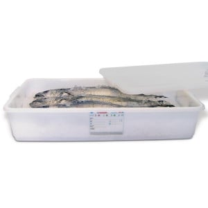 Food Container with Lid - 40L - Araven