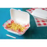 Hinged Bagasse Compostable Trays - 500 ml - Pack of 250 - Fiesta Green