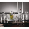 Transparent Ypsilon carafes - 25cl - Set of 12 - Luigi Bormioli - Fourniresto