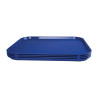 Selbstbedienungs-Tablett Blau 450 x 350 mm - Olympia KRISTALLON - Fourniresto