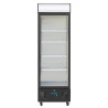 Positive Refrigerated Display for Drinks - 368 L - Polar