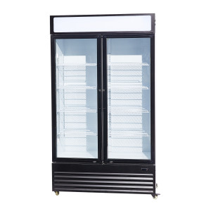 Vitrine Réfrigérée à Boissons 2 Portes Vitrées - 750 L