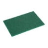 Grüner Scheuerschwamm - 110 x 151 mm - 10er Pack - Jantex