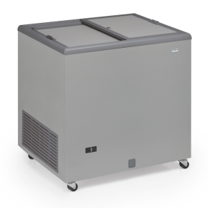 Professional Stainless Steel Chest Freezer with Opaque Lid - 220 L