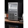 Sprüh-Eiswürfelmaschine - 21 kg / 24 h - Polar