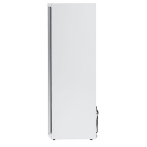 Gefrierschrank 400 L mit Glastür Umluftkühlung -18/-22°C