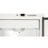 Freezer Cabinet 590 L Ventilated Cold -18/-22°C