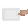 Compostierbare Lebensmittelbehälter aus Bagasse Fiesta 500ml - Set von 100 - Gastronoble