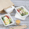 Compostierbare Lebensmittelbehälter aus Bagasse Fiesta 500ml - Set von 100 - Gastronoble