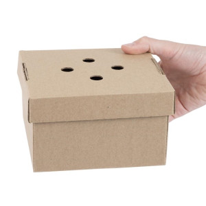 Faltbare quadratische Burgerboxen - Set von 100 - Fiesta Green