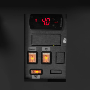 Premium-Service-Vitrine für frischen Fisch - 1000 W