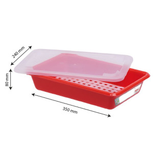Bac Plat 3L Haccp Rot + Deckel + Gitter - Gilac