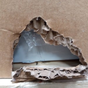 Star Refrigerated Saladette - 2 Doors with Opening Top