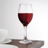Solar Wine Glass - 245 ml - Set of 24 - Olympia