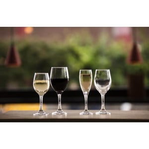 Solar Wine Glass - 245 ml - Set of 24 - Olympia