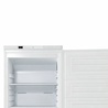 White Ventilated Freezer Cabinet - 600 L - Refurbished