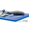 Easy Schneidebrett - GN 1/1 - Blau - Dicke 14 mm - Bartscher