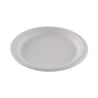 Round Plates in Bagasse - 26.1 cm - Pack of 50 - FourniResto