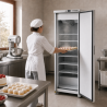 380 L Ventilated Cold Freezer Cabinet -18/-22 °C