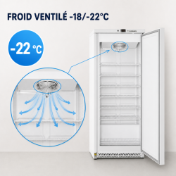 Gefrierschrank 590 L Umluftkühlung -18/-22°C