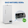 Freezer Cabinet 510 L Ventilated -18/-22°C White