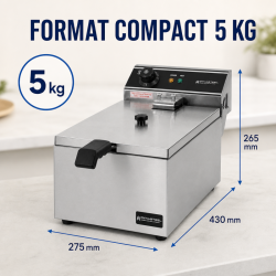 Professionelle Fritteuse 10 L 3000 W Edelstahl — Thermostat