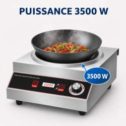 Wok Induction Pro 3500 W Stainless Steel — Concave Zone Ø227