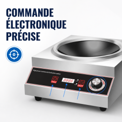 Wok Induction Pro 3500 W Stainless Steel — Concave Zone Ø227