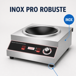 Wok Induction Pro 3500 W Stainless Steel — Concave Zone Ø227