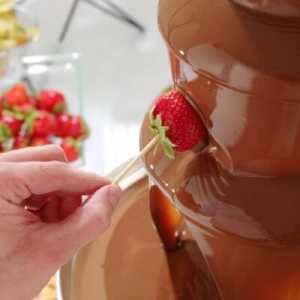 Hendi Chocolate Fountain