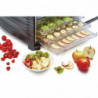 Dehydrator 10 Trays with Timer and Door - Buffalo - Fourniresto