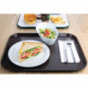 Brown Plastic Fast Food Tray - Olympia KRISTALLON - Fourniresto