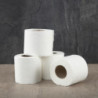 Standard 2 Ply Toilet Paper - Pack of 36 - Jantex - Fourniresto