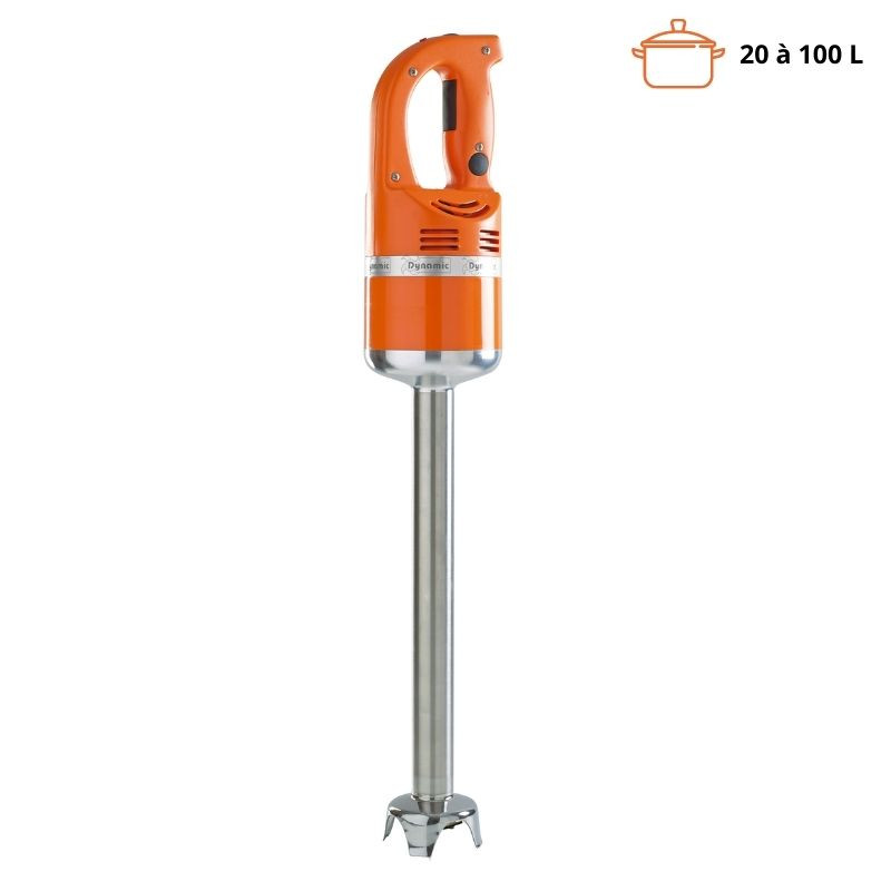 Immersion Blender Master MX 2000 Standard - FourniResto.com