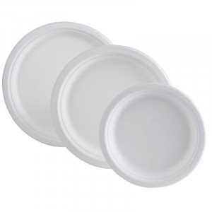 Runder Teller aus Bagasse - 230 x 20,6 mm - Packung mit 50