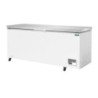 Chest Freezer with Stainless Steel Lid - 587 L - Polar