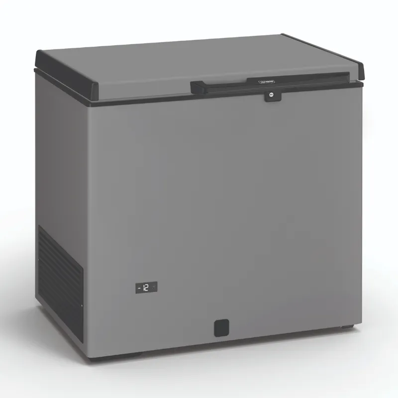 Tiefkühltruhe Profi Edelstahloptik - 220 L