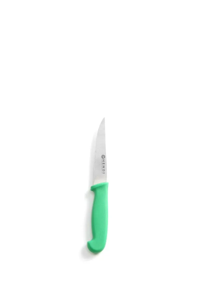Universalmesser Grün für Obst und Gemüse - Klinge 10 cm