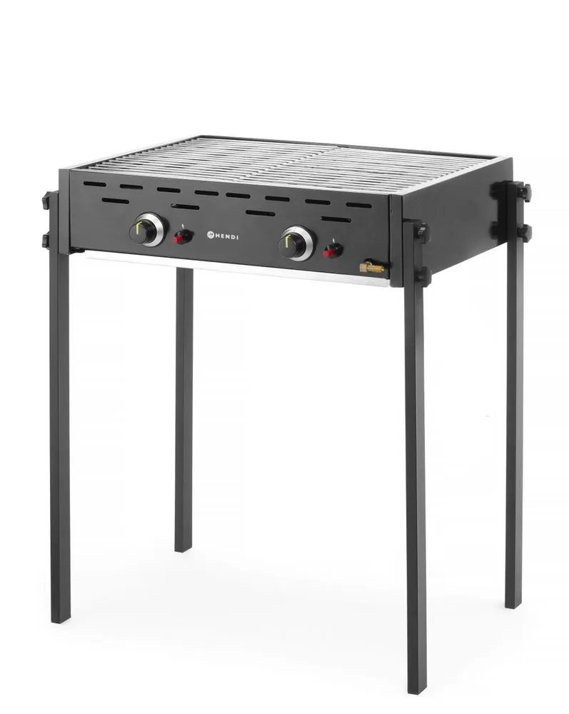 Barbecue 2 Brenner Gasgrill